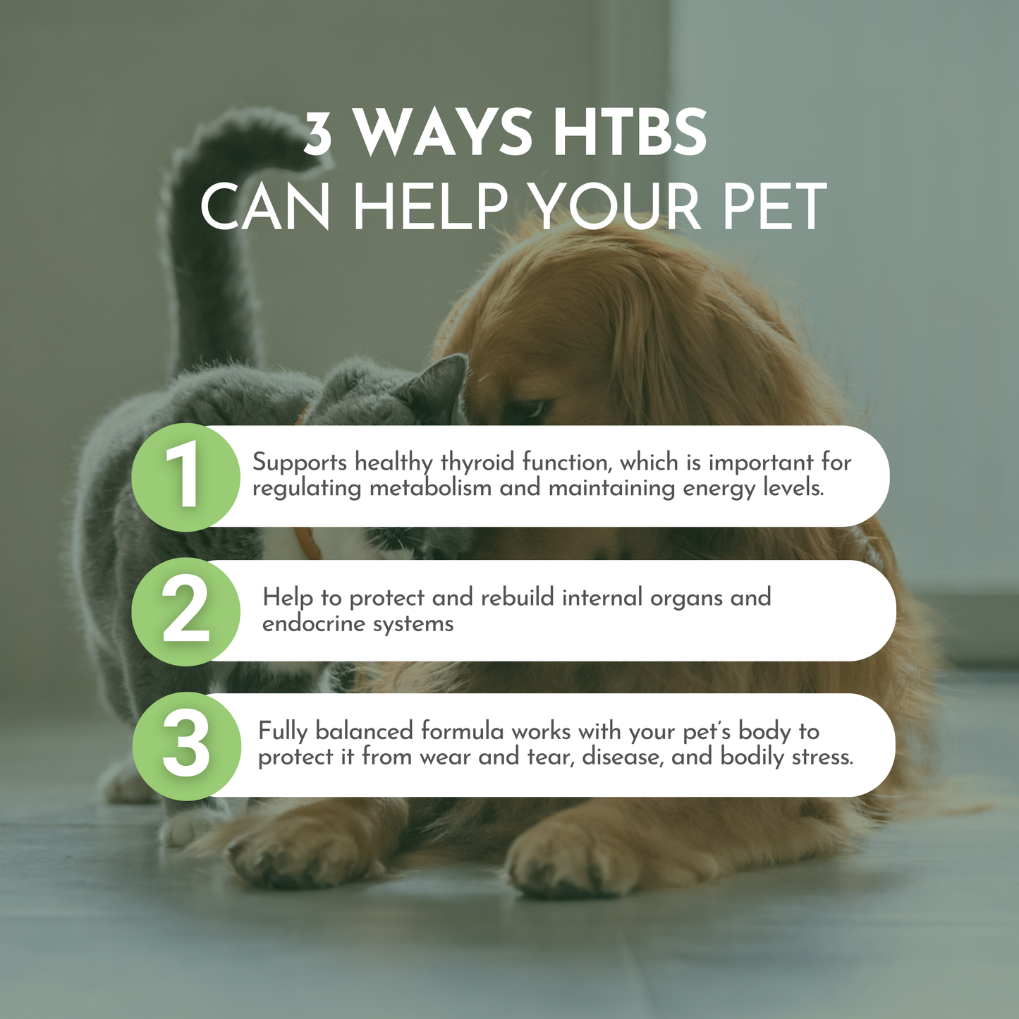 Holistic Total Body Support – Multivitamin & Glandular Support for Dogs and Cats